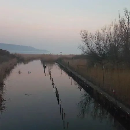 Nora Daire Balatonfůzfő